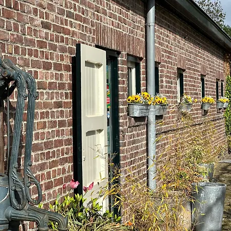 Bed & Breakfast Bovenste Bos Epen