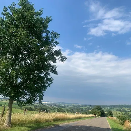 Bovenste Bos Bed & Breakfast