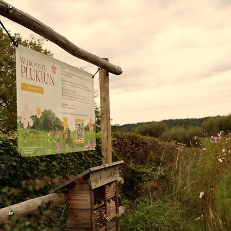 Bed & Breakfast Bovenste Bos Epen