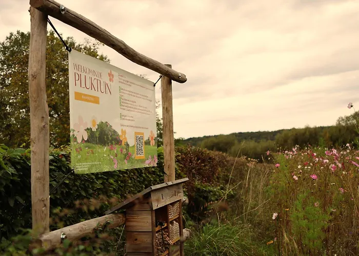 Bed and breakfast Bovenste Bos Epen