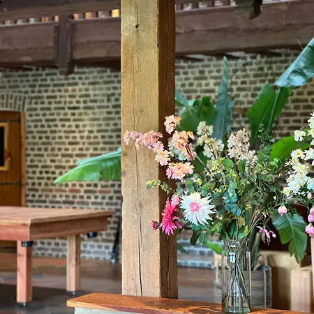 Bed & Breakfast Bovenste Bos