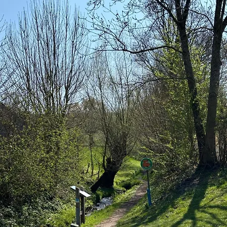 Bovenste Bos 3* Epen