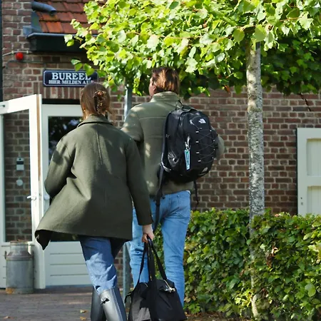 Bovenste Bos 埃彭
